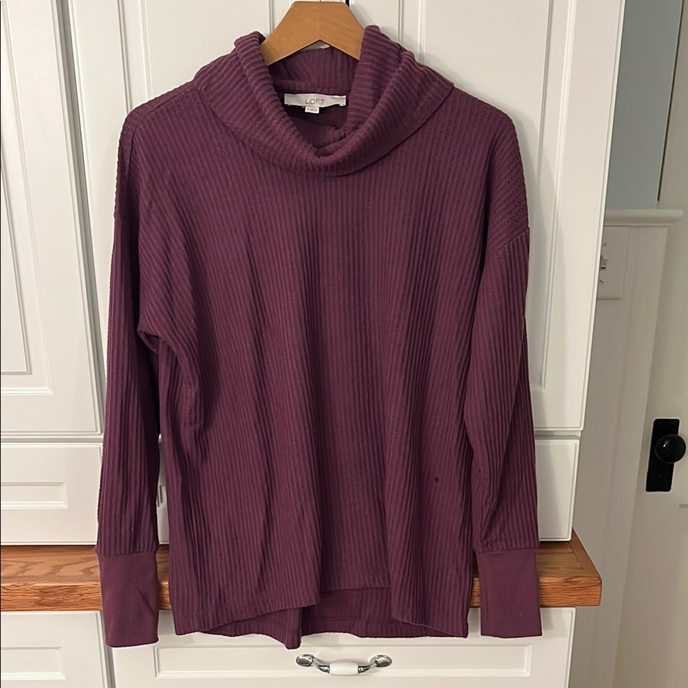 Women's Purple/Eggplant Turtle Neck Sweater